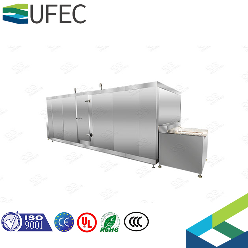 Máquina de congelación rápida industrial de frutas y verduras con capacidad de 100kg por hora, máquina de refrigeración de túnel rápido