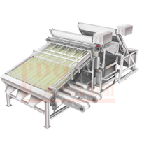 Clasificador automático de camarones de 18 rodillos