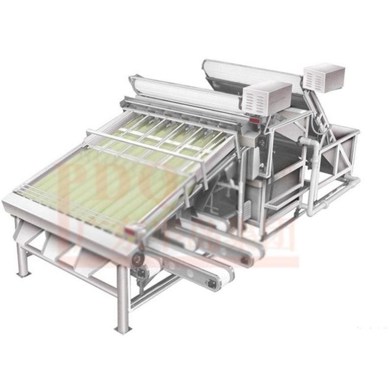 Clasificador automático de camarones de 18 rodillos