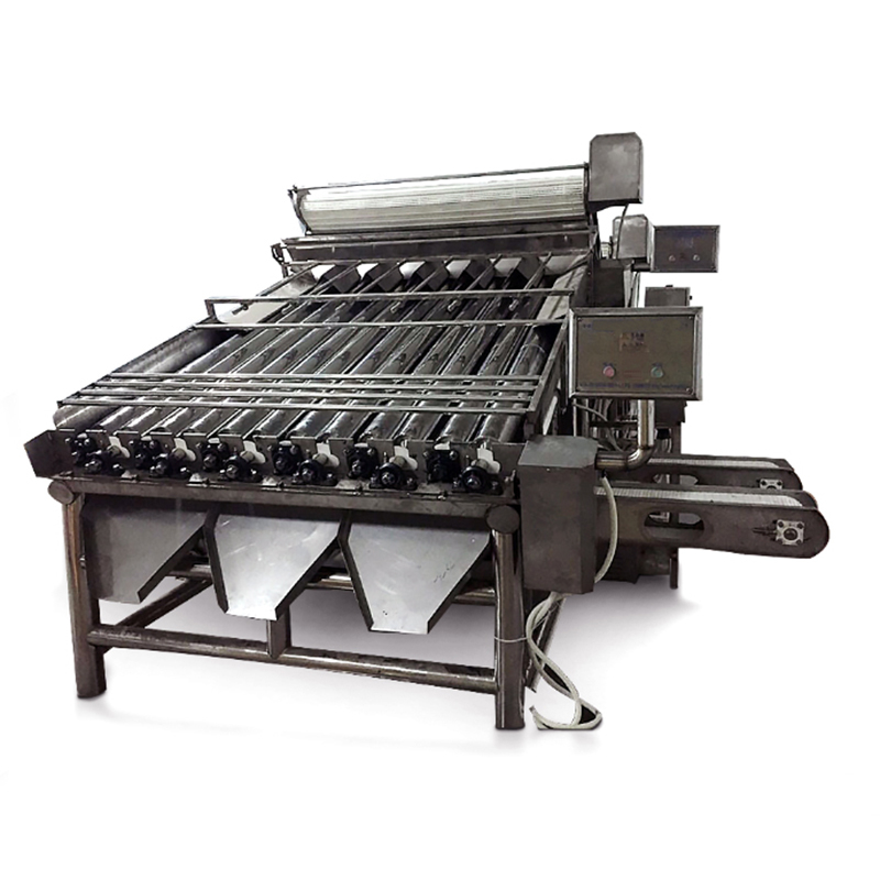 Máquina clasificadora automática de 12 rodillos/18 rodillos para pescado fresco y gambas de alta precisión, máquina clasificadora de tamaño de camarón