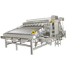 Máquina clasificadora automática de gambas frescas, mariscos, camarones, pescado, clasificador múltiple de camarones