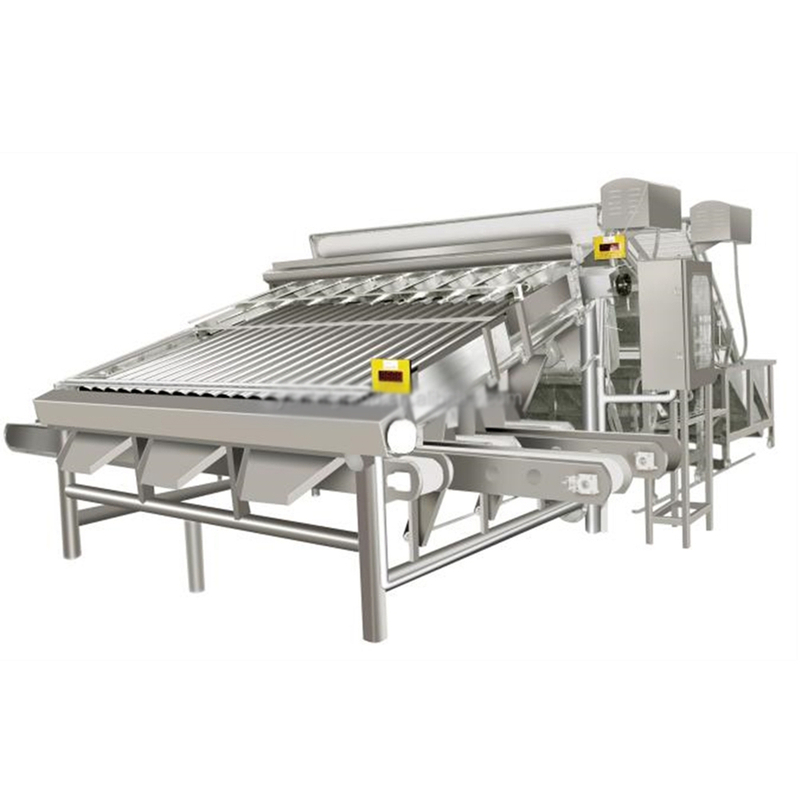Máquina clasificadora automática de gambas frescas, mariscos, camarones, pescado, clasificador múltiple de camarones