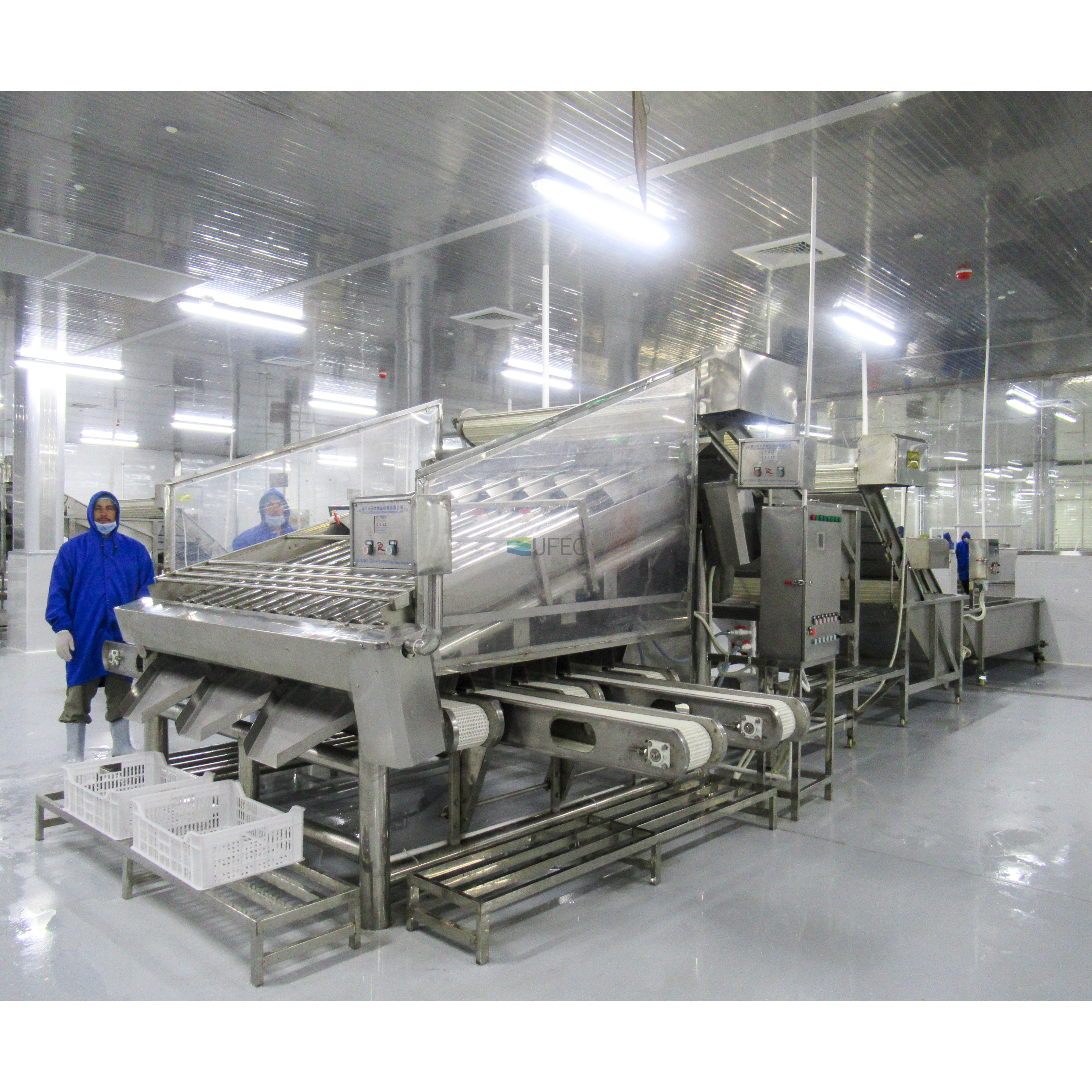 Máquina clasificadora de camarones de gran capacidad Máquina clasificadora de camarones de alta precisión para procesamiento de mariscos