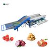 Máquina clasificadora de tamaño de frutas y verduras